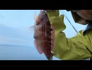 餌釣り