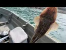ボートジギング