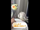 え？飼い主？？