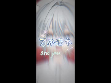 【知らないうちに遠くまで来ていた朝に歌った】『アネモネ』/アオバ