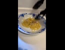 豚肉ときのこの和風パスタをつくってみた