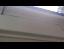 ドラレコのリア専用カメラ【セルスターのCD-30】