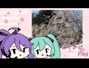がくぽとミクのおでかけVlog　～弘前さくらまつり編～