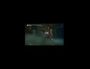 竖屏-PC破解版《忍者龙剑传II：黑》上忍·超难-第六期 (9)