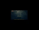 竖屏-PC破解版《忍者龙剑传II：黑》上忍·超难-第七期 (2)