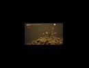 竖屏-PC破解版《忍者龙剑传II：黑》上忍·超难-第七期 (3)