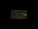 竖屏-PC破解版《忍者龙剑传II：黑》上忍·超难-第七期 (4)