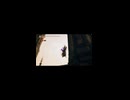 竖屏-PC破解版《忍者龙剑传II：黑》上忍·超难-第七期 (8)