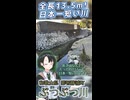 日本一短い川！長さ13.5mのぶつぶつ川に行ってきました【二級河川】