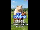 【競馬予想】ＧⅠ #天皇賞春□AIみかん□予想担当は栽培マン□きのこ□Cocoんco□の推奨馬3頭で好配当的中目指します《#競馬楽部□LOVE》Vol.227通算Vol.429