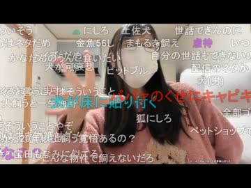 犬を飼いたいかなたさんがギフト演出に驚く