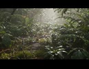集中用BGM　作業用BGM　睡眠用BGM　雨の音があるヒーリングBGM