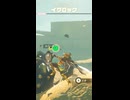 【ティアキン】めがね岩のイワロック ゼルダの伝説ティアーズオブザキングダム
