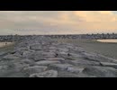 茅ヶ崎海岸 ヘッドランドビーチ 2022年07月25日18時40分