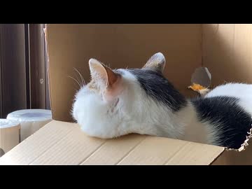 おくた