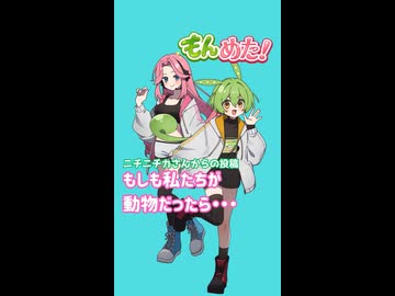もんめた ニチニチカさんの投稿 もしも二人が動物だったら ずんだもんと四国めたんのショートストーリー