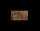 竖屏-PC破解版《忍者龙剑传II：黑》上忍·超难-第七期 (14)
