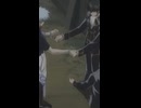 【銀魂】同じ個室に２人でトイレ…！？ #銀魂 #gintama  #shorts
