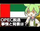 UAEが突如OPECからの脱退を発表した件について