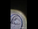 エギング復帰初釣果