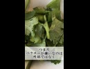 パクチー嫌いは仕方ない理由があります