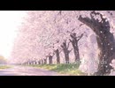 桜 feat.miki/マーシャン
