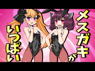 メスガキがいっぱい！【ソフトウェアトーク劇場】