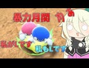 【ソフトウェアトーク実況】IAちゃんのエアライダー33【カービィのエアライダー】
