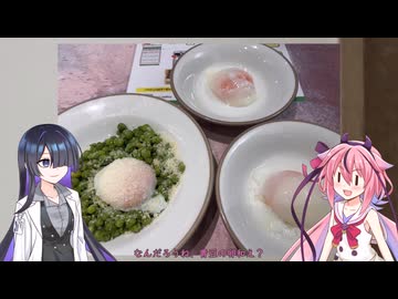 【この動画は大体ノンフィクションです】人生初サイゼ行ってきた