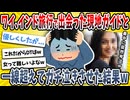 【2ch面白い話】ワイ、インド旅行で出会った現地ガイドの女性と一線を超えてしまうｗｗｗｗ【ゆっくり解説】