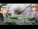 【ゆっくり怖い話】お水が飲みたい【人怖】45