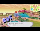 ぽこあポケモン やるぞ！ #65 【ぽこ あ ポケモン】