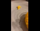 三不粘を食べてみた