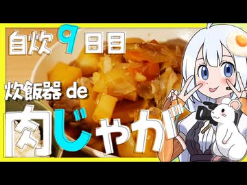 【自炊vlog】炊飯器肉じゃが簡単すぎワロタ【活動6周年】自炊9日目