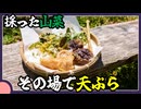 採った山菜をその場で天ぷら【料理/VOICEROID】