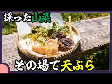 採った山菜をその場で天ぷら【料理/VOICEROID】