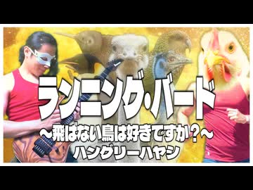 ハングリーハヤシ - ランニング・バード 〜飛ばない鳥は好きですか？〜