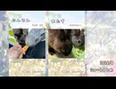 【うさぎ】2026/4　ショート動画まとめ【ショート】