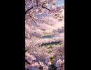 AI生成 雅楽風味「晩春の花雲楽」第一楽 202604949