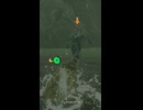 【ティアキン】ラネール湿原のライネル ゼルダの伝説ティアーズオブザキングダム