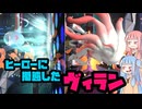 幽霊魚の真似をするイルカに擬態したキツネ【ゼロからチャンピオンズ】