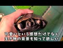 ひどすぎるだろ