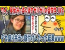 【2ch面白い話】ワイ、昼休みにいつも姿を消すガリガリの留学生のJKにデカ盛り弁当をプレゼントした結果ｗｗｗｗ【ゆっくり解説】