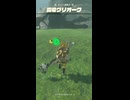 【ティアキン】キビナ湖南の雷電グリオーク ゼルダの伝説ティアーズオブザキングダム