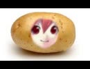 疾走 / 重音テトSV