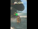 【ティアキン】アライソ海岸の黒ヒノックス ゼルダの伝説ティアーズオブザキングダム