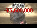 美大卒業するまでの話 入学編 【猫ミーム】#猫meme #猫マニ #猫ミーム