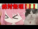 美大卒業するまでの話 仕事編 【猫ミーム】#猫meme #猫マニ #猫ミーム