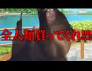 美大卒業するまでの話 学祭編4【猫ミーム】#猫meme #猫マニ #猫ミーム