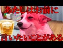 美大卒業するまでの話 学祭編5【猫ミーム】#猫meme #猫マニ #猫ミーム